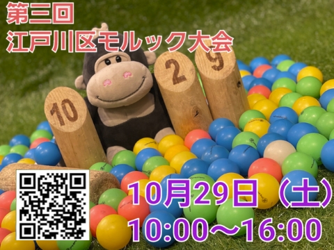 第三回江戸川区 モルビー モルック大会