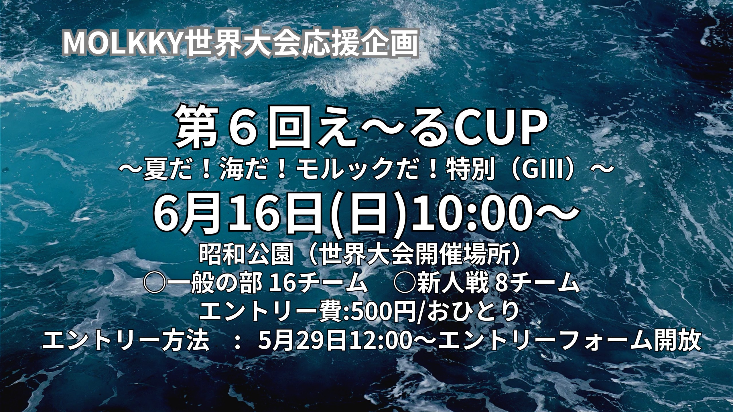 第６回え〜るCUP 〜夏だ！海だ！モルックだ！特別（GⅢ）〜