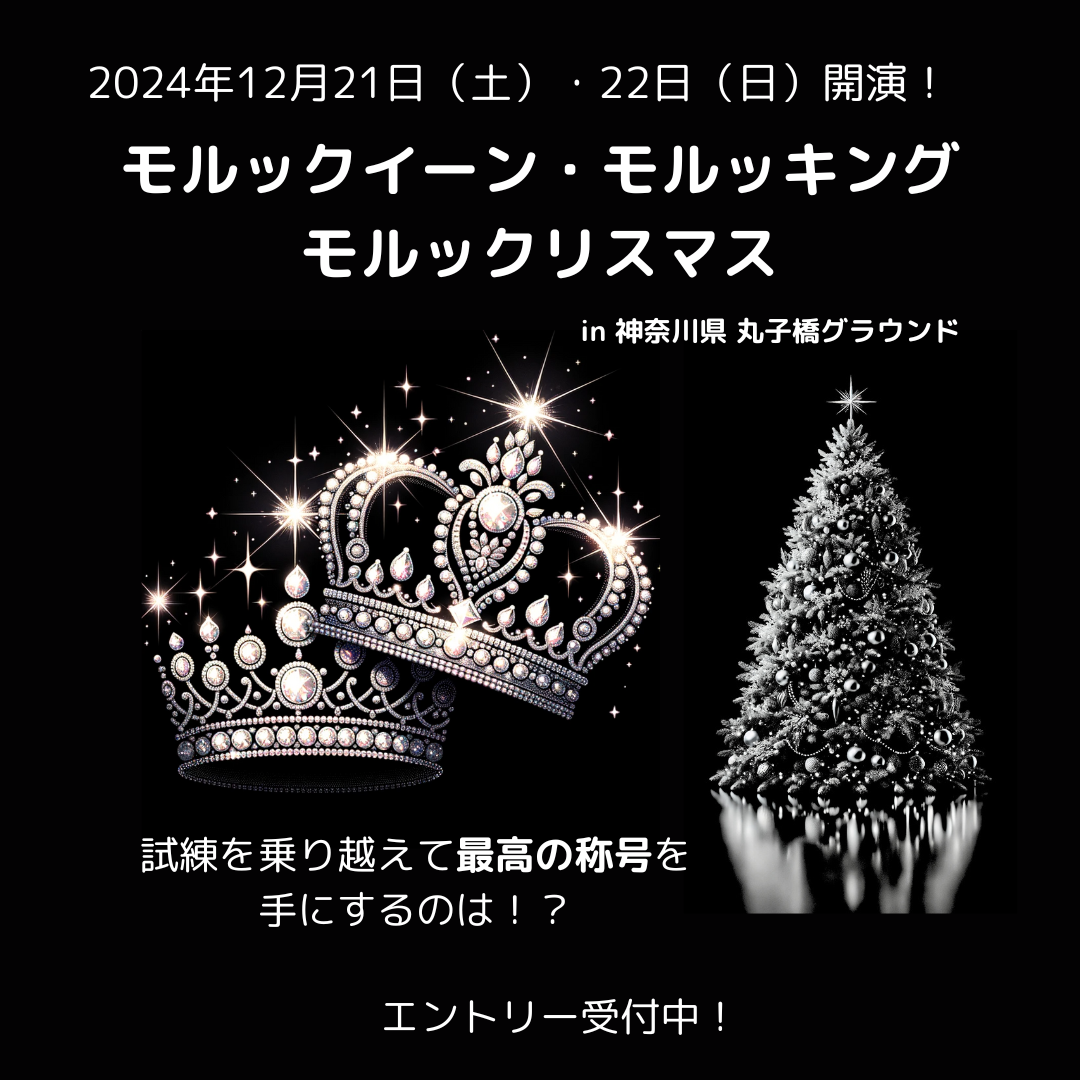 第4回モルックリスマス