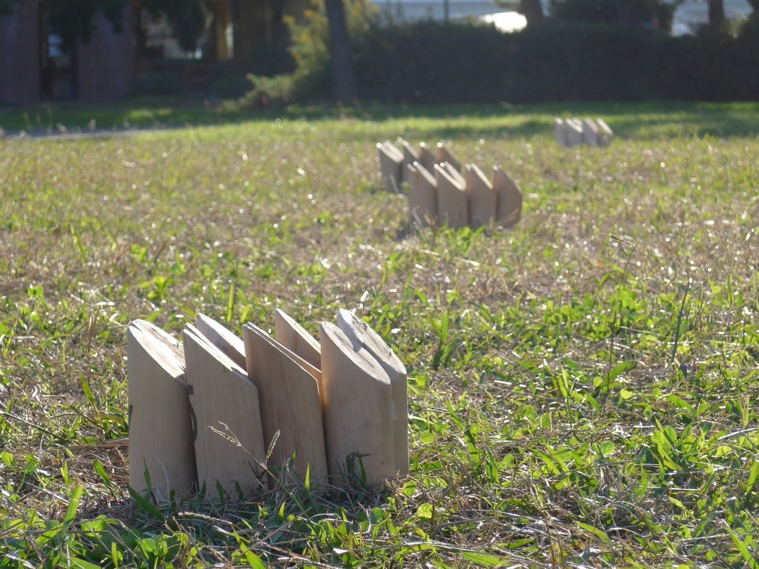 日本モルック協会